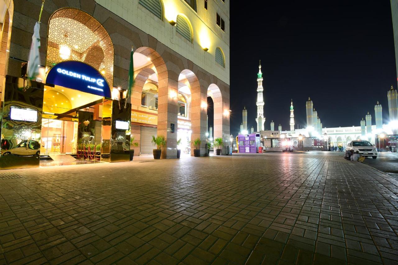 الذهبي جولدن توليب — صورة 2