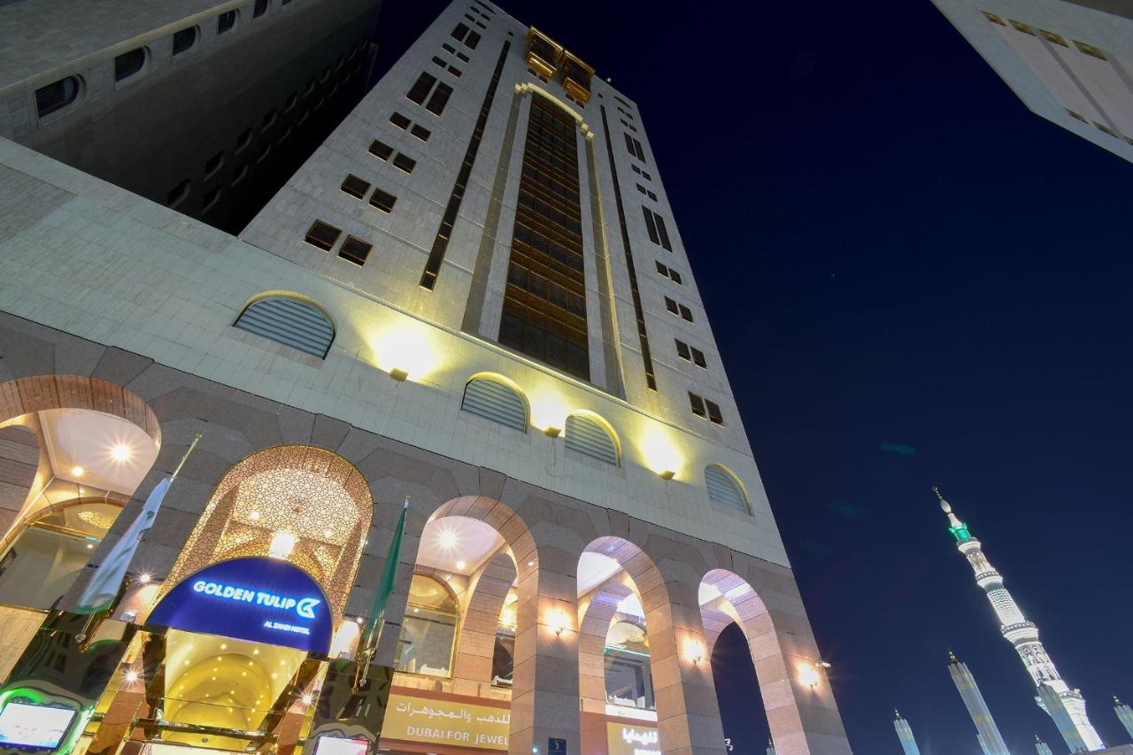 الذهبي جولدن توليب — صورة 3